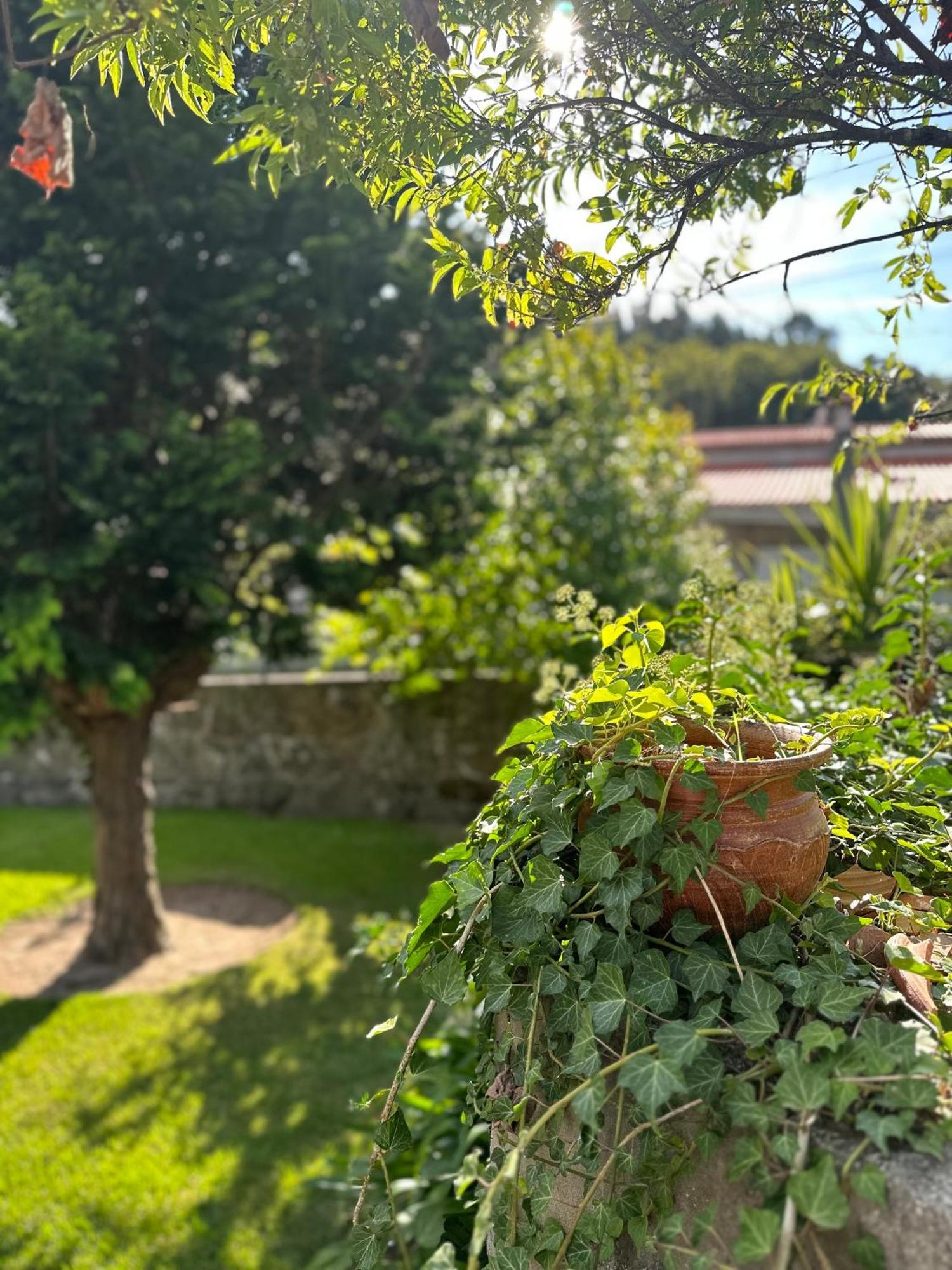 Vila Guia In Valdreu 布拉加 外观 照片