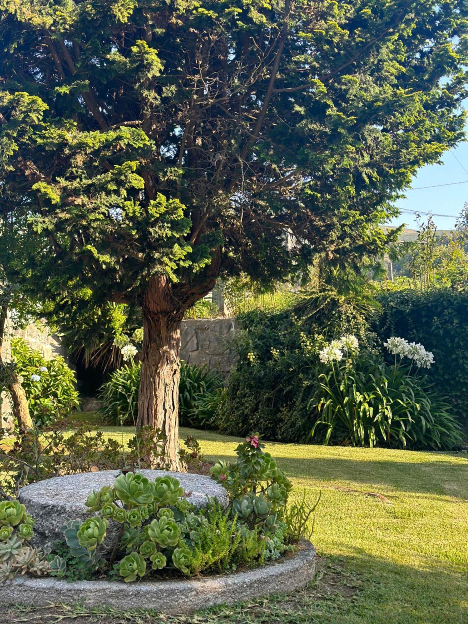 Vila Guia In Valdreu 布拉加 外观 照片
